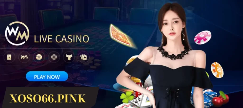 Casino xoso66 trải nhiệm tuyệt vời dành cho bạn 