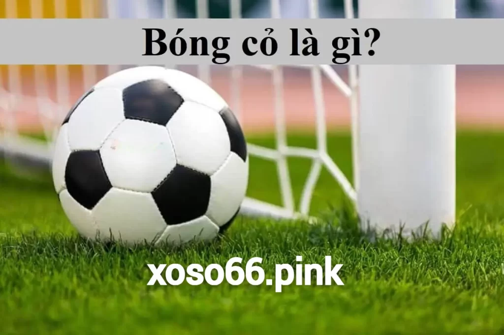 Bóng Cỏ Là Gì?