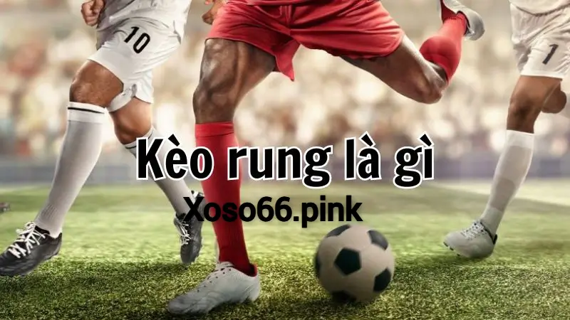 Khám Phá Kèo Rung tại Xoso66